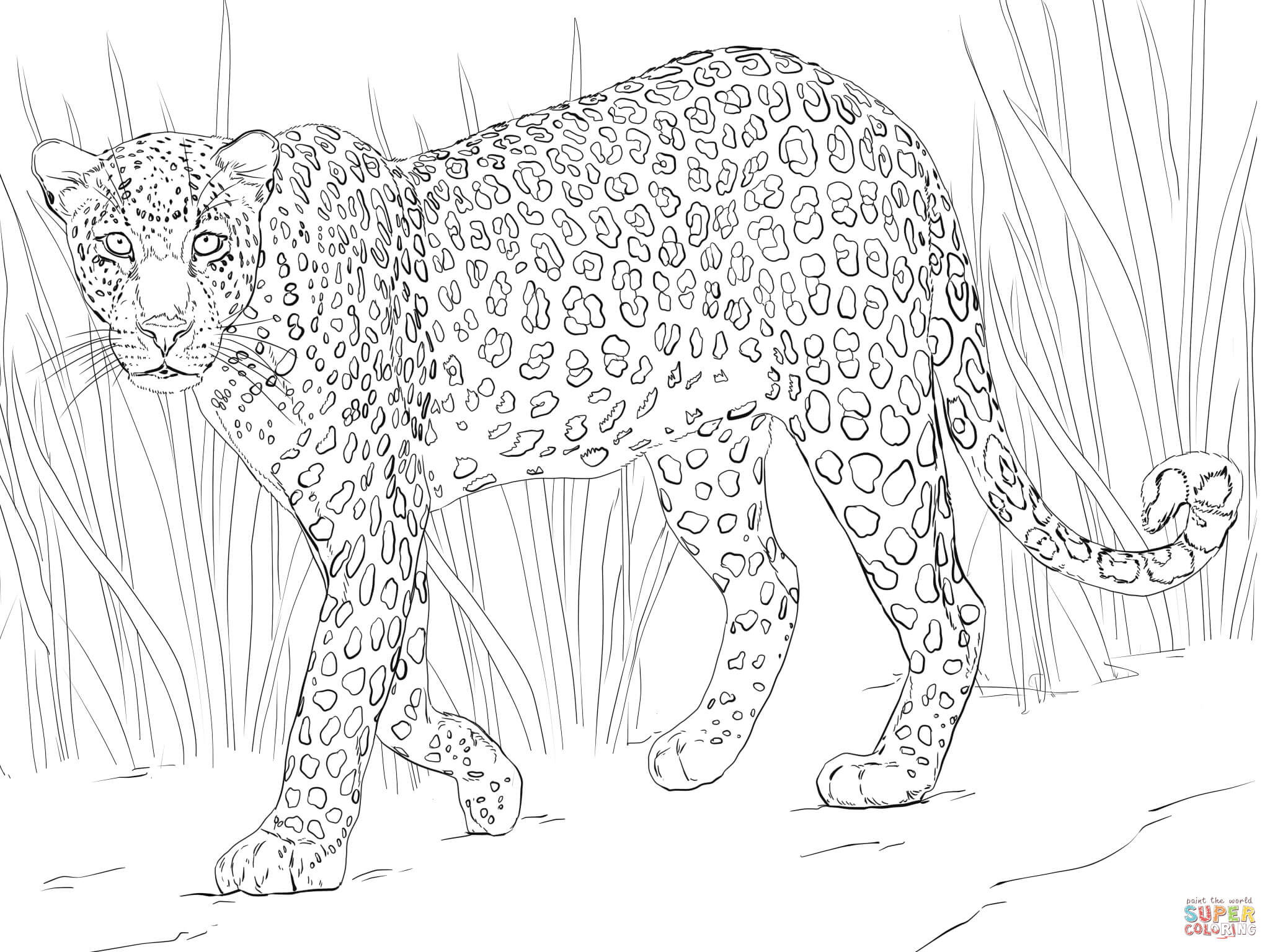 Plansa de colorat cu Leopard 5 28